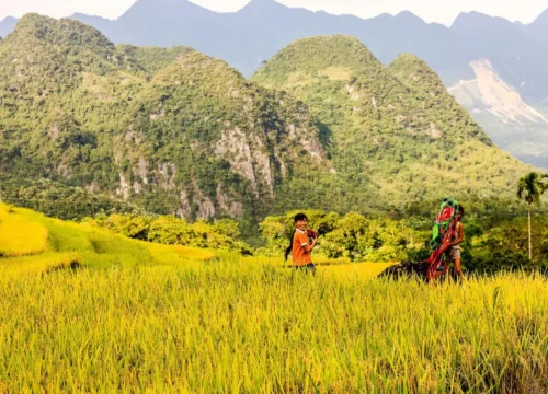 Experience Mai Chau Ecolodge: An Idyllic Mountain Retreat in Vietnam